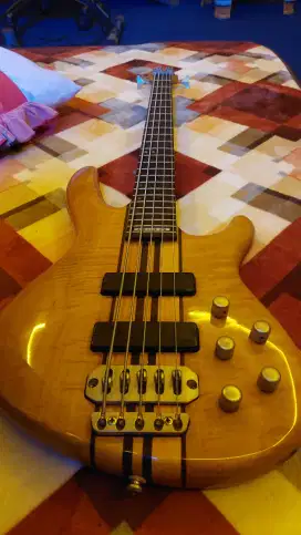 BASS CORT ARTISAN ORI KOREA
