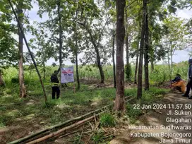Tanah Kelurahan Glagahan Kecamatan Sugihwaras Kab Bojonegoro
