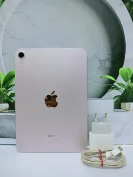 iPad mini 6 256 iBox wion