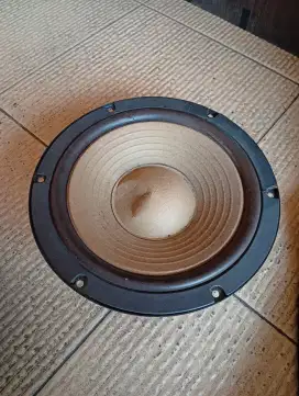 WOOFER 10 INCH 8 OHM | Type EAS-25PL41S