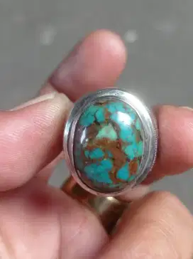 Pirus persia urat hitam padas merah