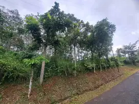 Dijual tanah bersertifikat SHM di Purwakarta