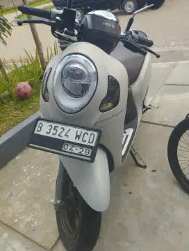 Scoopy 2023, msh gress
