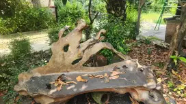 Kursi Kayu Akar Unik – Artistik, Natural, & Kuat