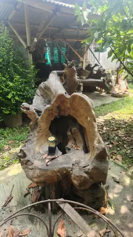 Kursi Kayu Akar Unik – Artistik, Natural, & Kuat!
