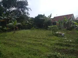 Tanah Kavling Ciomas Bogor Dekat Stasiun Bogor – Akses Mobil, SHM