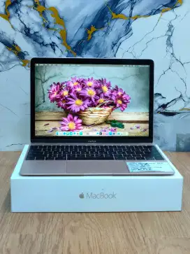 MACBOOK RETINA   2017 12 CORE  M 3