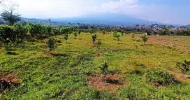 Tanah Kelurahan Beji Kecamatan Junrejo Kota Batu