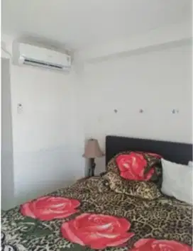 Apartment Paradise Mansion (Studio)