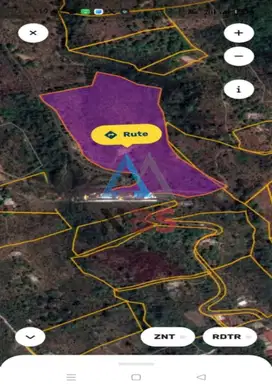 DIJUAL TANAH KEBUN CENGKEH DENGAN VIEW LAUT BULELENG BALI