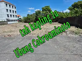 Dijual Tnh Kapling di area Ubung Jln Cokroaminoto Denpasar Bali