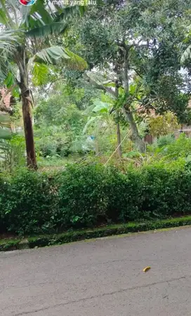 Tanah Tembalang Gondang Undip Tembalang