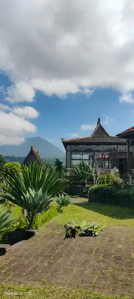 RESORT WITH SUPER SPECIAL NATURAL VIEWS BEDUGUL