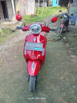 Molis merk grentek