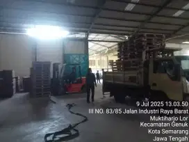 Palet kayu , paking, dipan lesehan