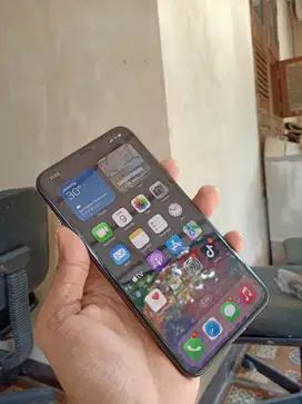 Iphone xs max 256 gb