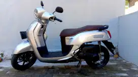 Fazzio lux 2023