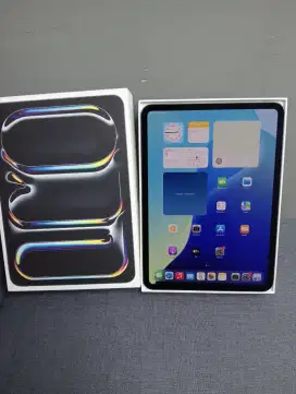 iPad pro M4 11inchi 256GB black ex iBox