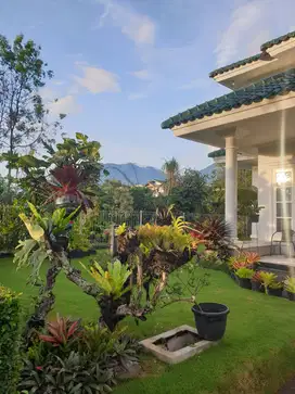 Villa Puncak Resort Cipanas