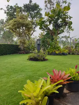 Villa Puncak Resort Cipanas