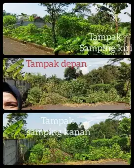 Dijual Tanah Dibawah pasaran !