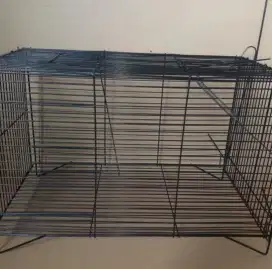 Perangkap musang dan kucing