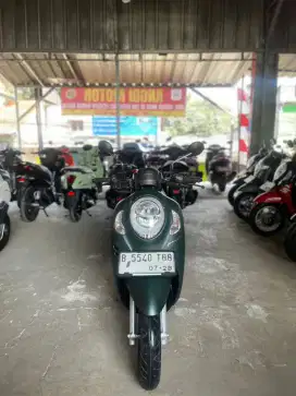 Honda scoopy Low Km