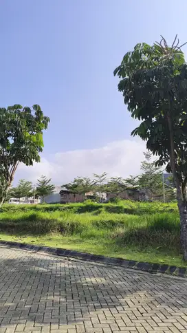 Tanah Malang Dau 5 Menit Kampus 3 UIN