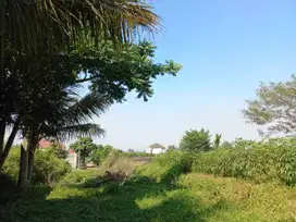 Tanah Murah Dekat UMM Malang Lingkungan Mahasiswa