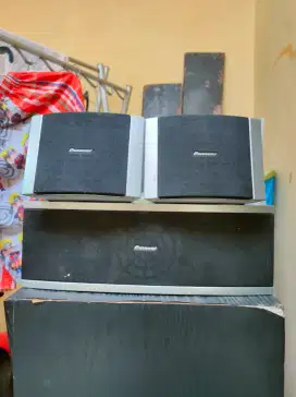 Speaker Pioneer