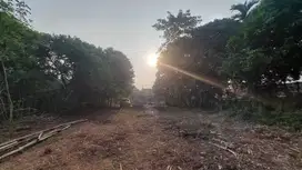 100 Jt-an Kavling SHM Area Cileungsi, Bogor. Bisa Cicil 12x Bunga 0%