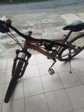 Sepeda Polygon Monarch M4