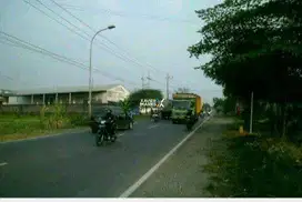Tanah di Pinggir Jalan Propinsi Kedamean Gresik dekat Citraland