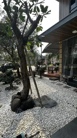 Dijual Rumah Bagus Di Cluster Diamond The First Stone Legok Tangerang