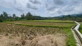 Dijual Murah Tanah 3220 m2 di Tanjungkerta SumedanG