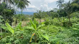Tanah Kebun 574 m2 Pinggir Jl Raya Tanjungkerta Sumedang Dijual Murah