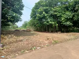 Kavling Dekat Terminal Cileungsi. Tanah Kavling Cicil 12X Non Bunga