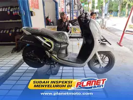Honda Scoopy Sporty/Fashion 2024
