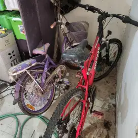 sepeda anak perempuan pacific
