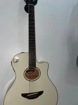 Yamaha APX600 APX 600
