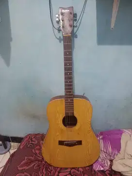 Gitar Ibanez Acoustic String