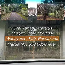Dijual Tanah SHM Sangat Strategis berada di Pinggir Jalan Wanayasa.