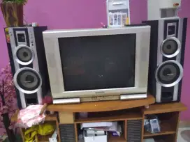 Speaker Bass Polytron Sepasang / Audio Speaker