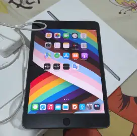 Ipad mini 5 grey 64GB