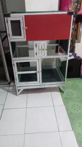 Kandang ternak murai,ijo,kacer dll.