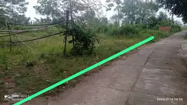 Tanah nyaman. Dan asri gancahan jalan godean KM 7 sidomoyo