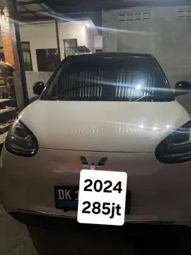 Wuling binguo ev 333km ac dc