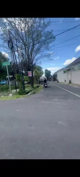 Disewakan tanah 18 are di punggir jalan kusuma bangsa 1 ubung denpasar