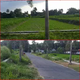 Tanah sangat nyaman dan strategis wedomartani cocok hunian