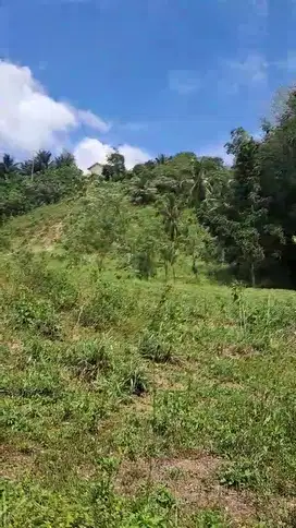 Tanah Kavlingan Sitamiang Baru Tanggal Padang Sidempuan